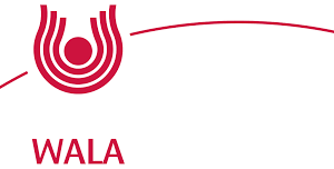 Bryophyllum 50% Pulver