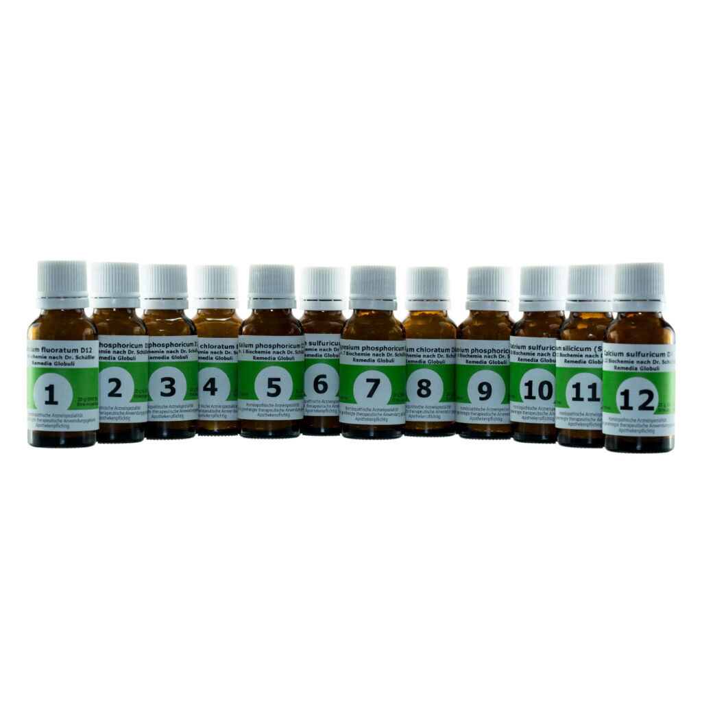 Schuessler Salts Globule Kit 20 g 12 pcs